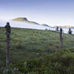 Mini-cure Gonarthrose au Mont-Dore