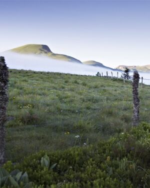 Mini-cure Gonarthrose au Mont-Dore