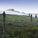 Mini-cure sur Slow Nature au Mont-Dore
